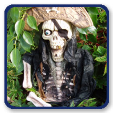 skeleton pirate